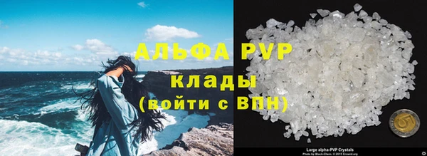 стафф Медногорск