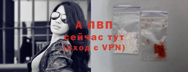стафф Медногорск