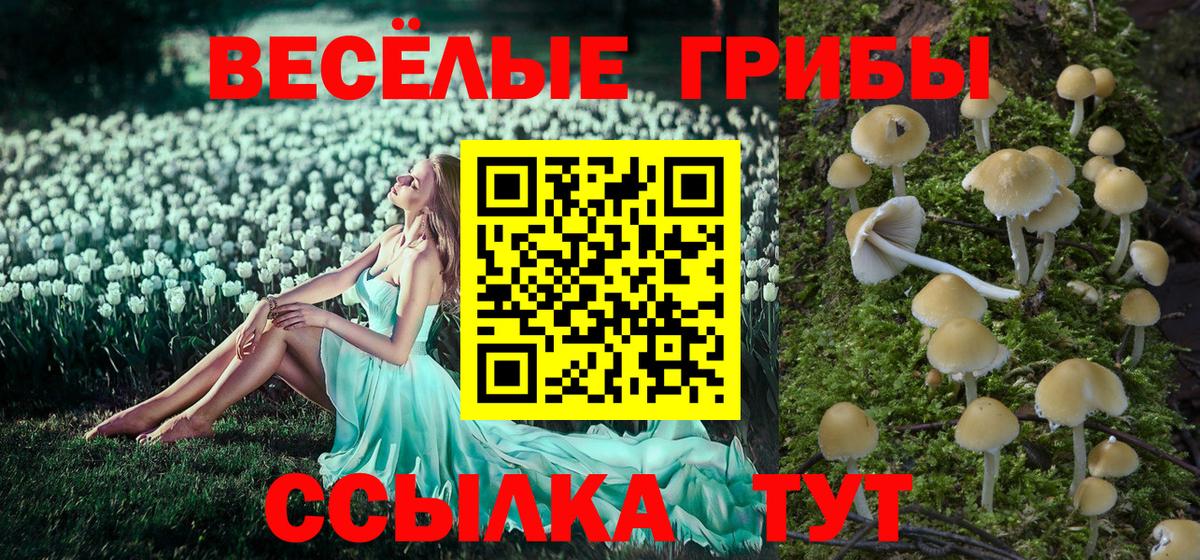 Галлюциногенные грибы мицелий  Галлюциногенные грибы Magic Shrooms  Липецк  Вход с VPN 
