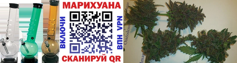 Конопля Bruce Banner  Липецк 
